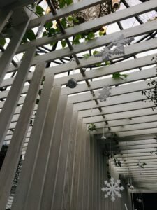 Roof & Weather Events